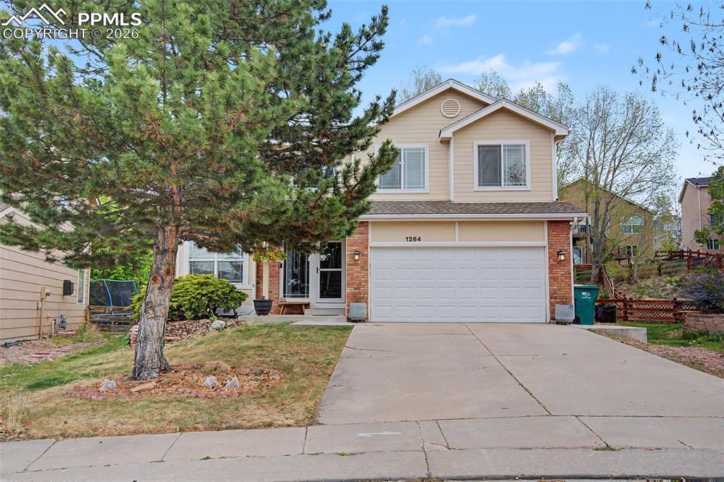 1264 Dream Lake Court