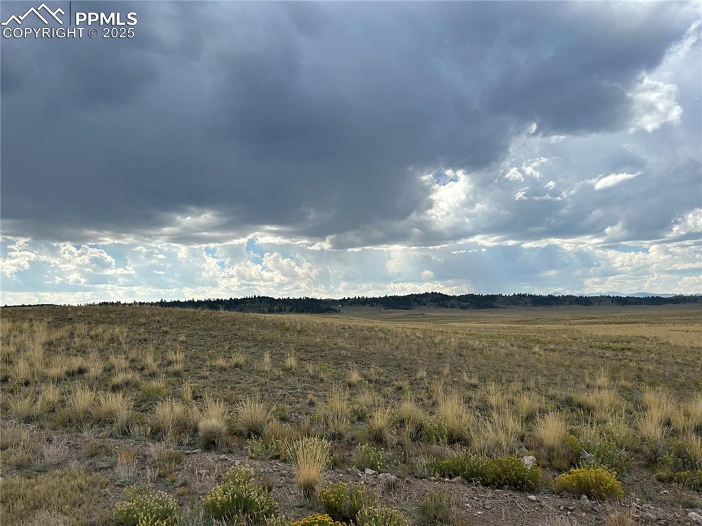 10055 County Road 53