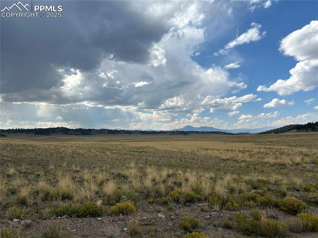 10055 County Road 53