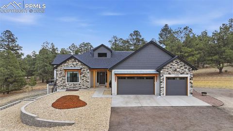 19005 Pinon Park Road Peyton CO 80831