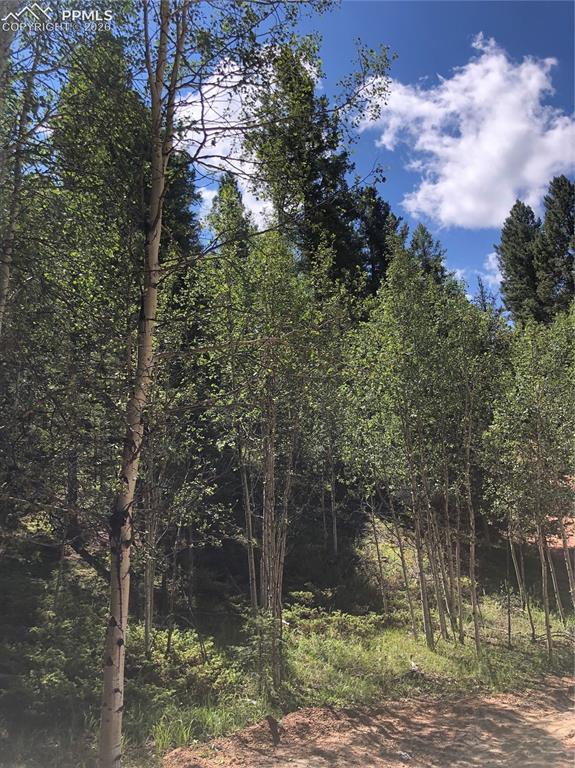 3015 N Mountain Estates Road