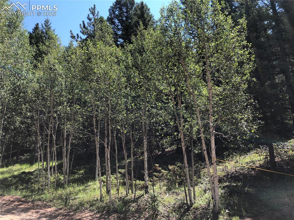 3015 N Mountain Estates Road