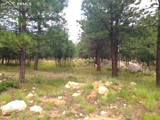 667 Silver Oak Grove