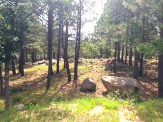 667 Silver Oak Grove