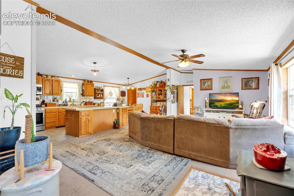 44 Silver Trail