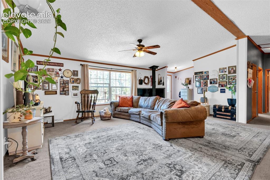 44 Silver Trail