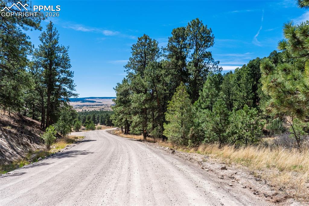 22555 County Road 49