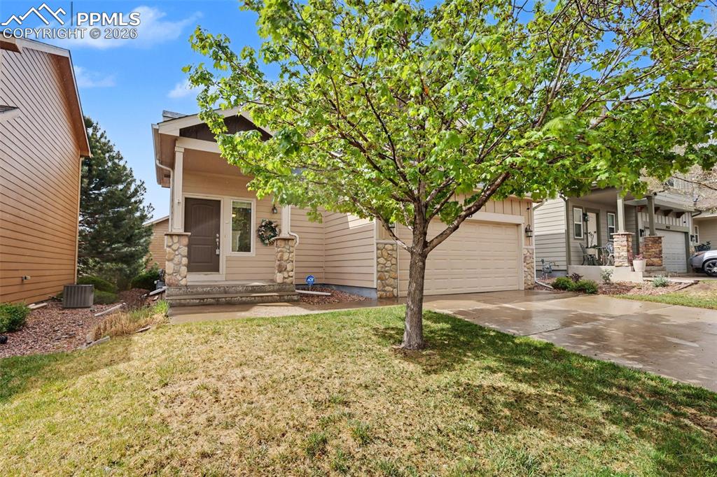 2465 Sierra Springs Drive