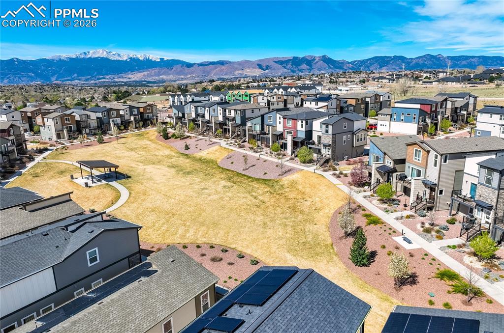 4169 Tree Creek Trail