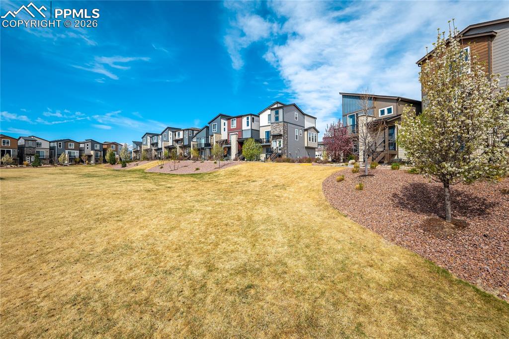 4169 Tree Creek Trail