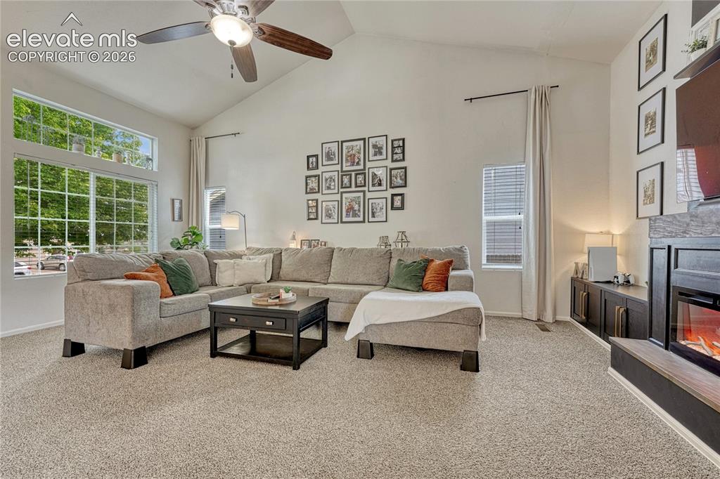7357 BRUSH HOLLOW Drive