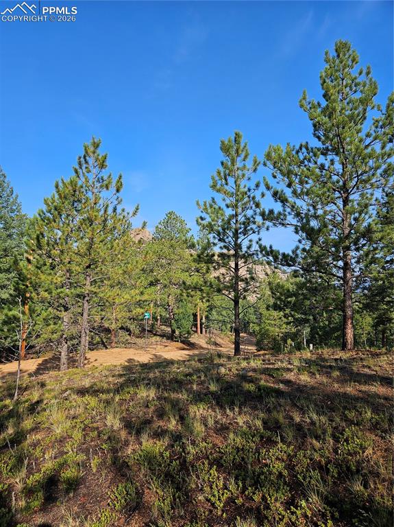 1117 Appleby Drive, Sedalia, CO, 80135 1117 Appleby Drive