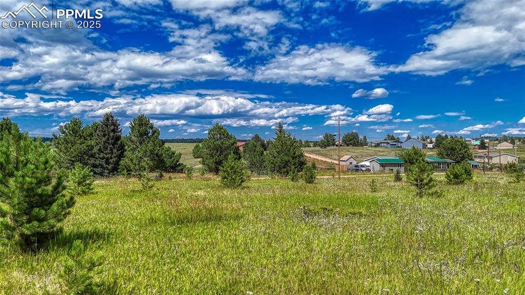 1129 Will Scarlet Drive