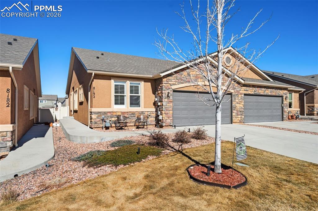 8192 Potentilla Grove