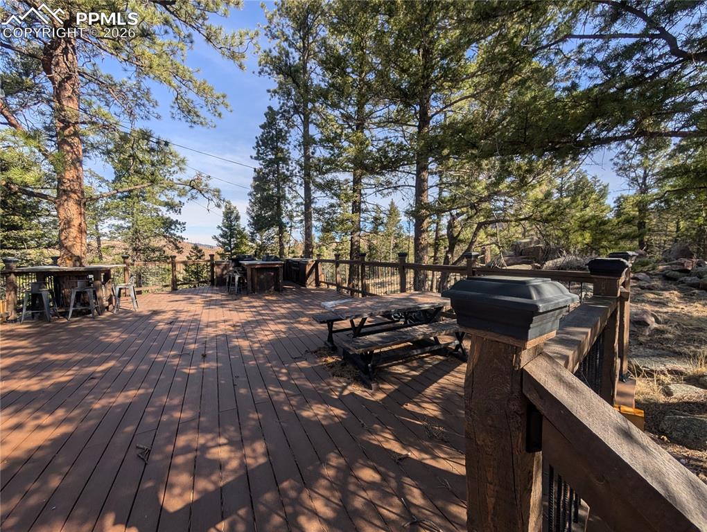 1176 Trail Creek Road