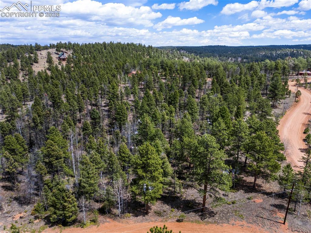 451 Chipeta Creek Trail
