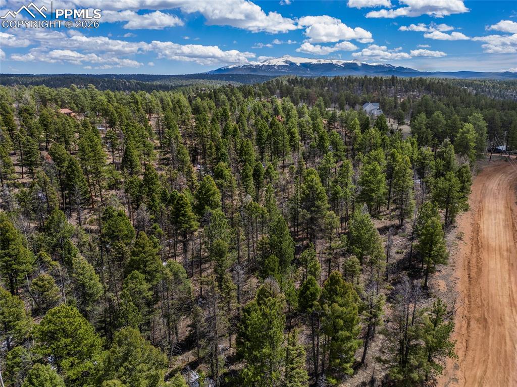 451 Chipeta Creek Trail
