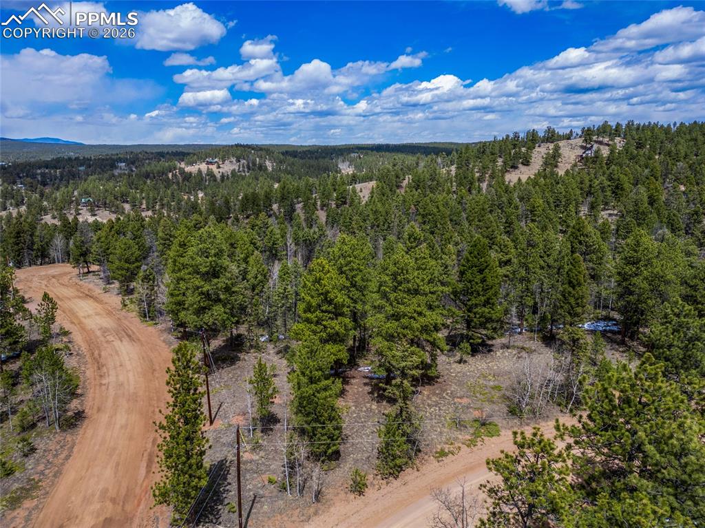 451 Chipeta Creek Trail