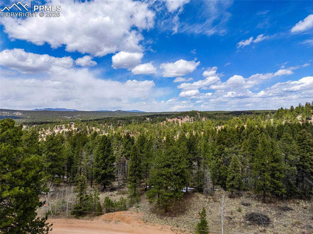 451 Chipeta Creek Trail