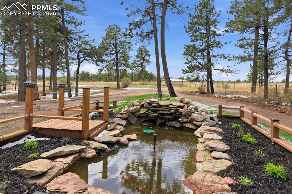 18440 Black Squirrel Road