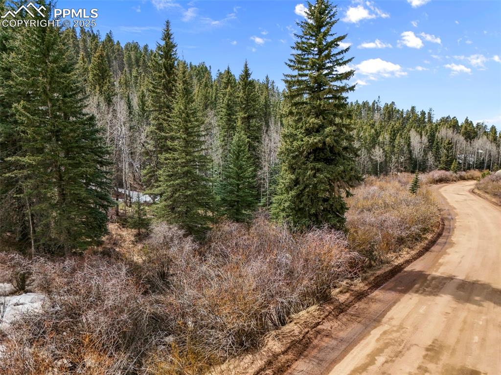 464 E Bison Creek Trail