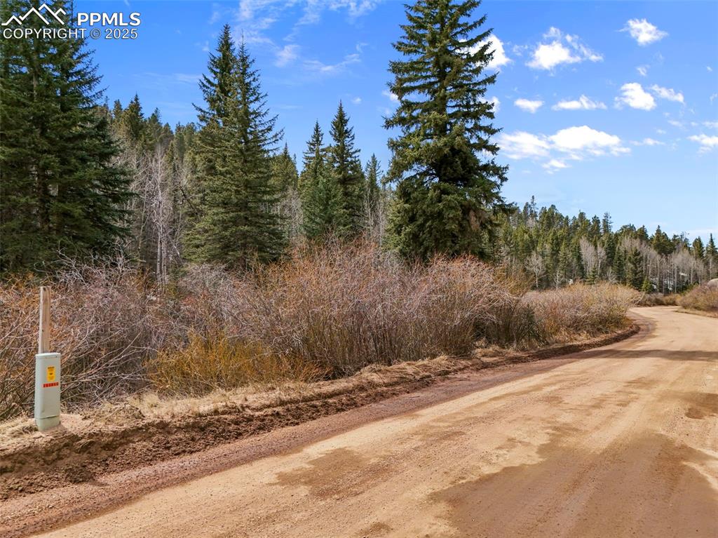 464 E Bison Creek Trail