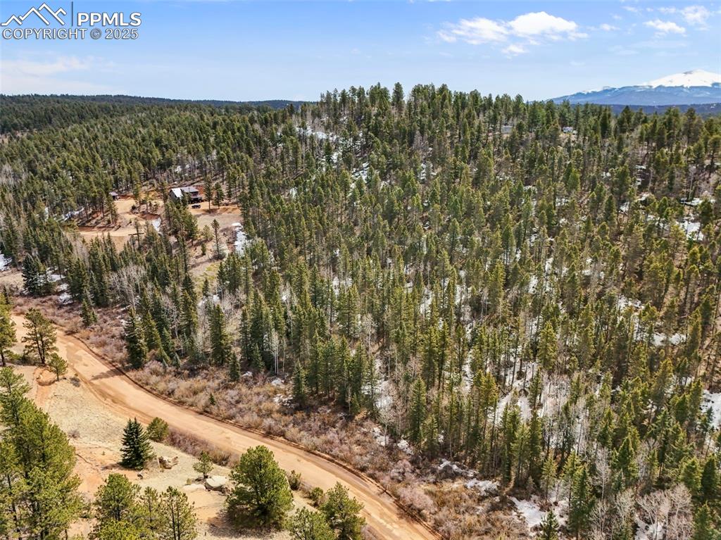 464 E Bison Creek Trail