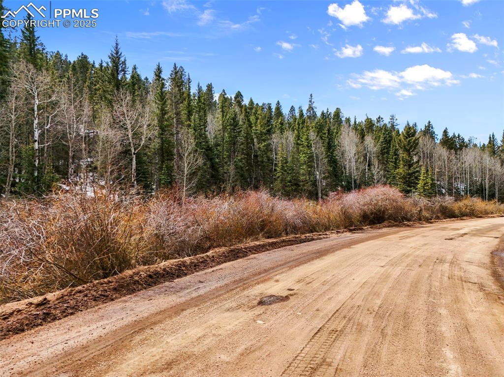 464 E Bison Creek Trail