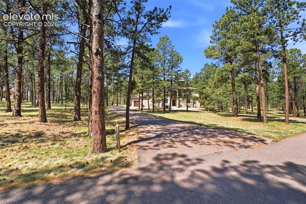 10916 Silver Mountain Point