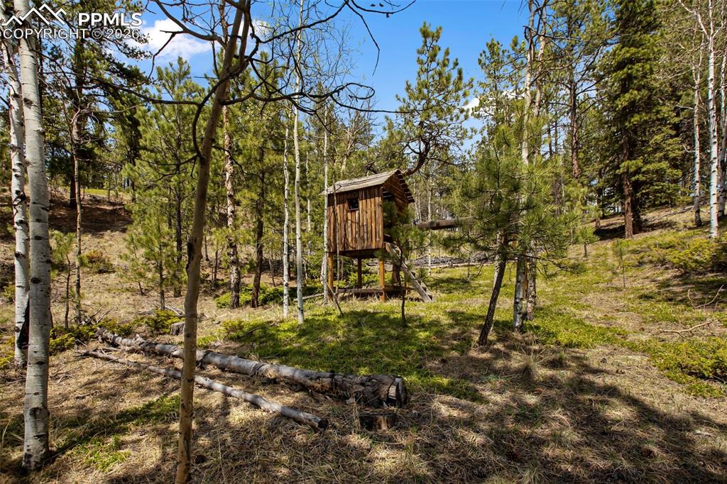1011 W Bison Creek Trail
