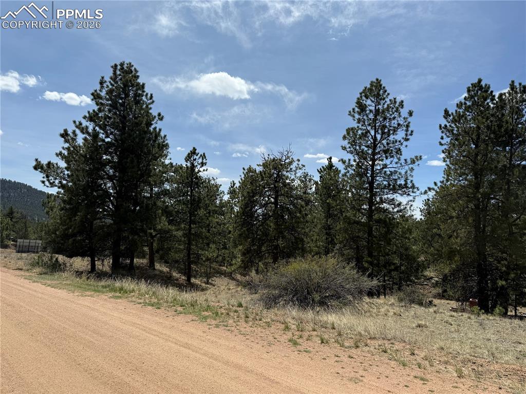 99 Cheyenne Way
