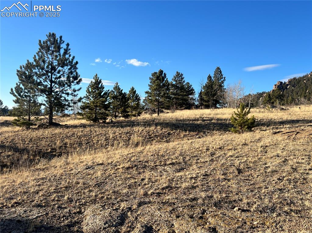 215 Topaz Road