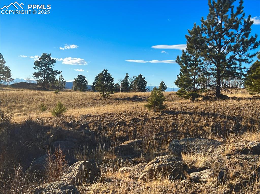 215 Topaz Road