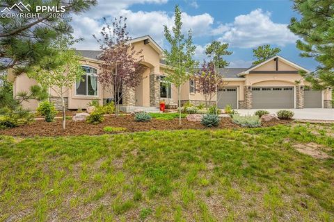 1325 Boldmere Court Monument CO 80132