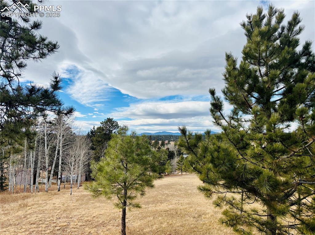 799 Elfin Glen Drive