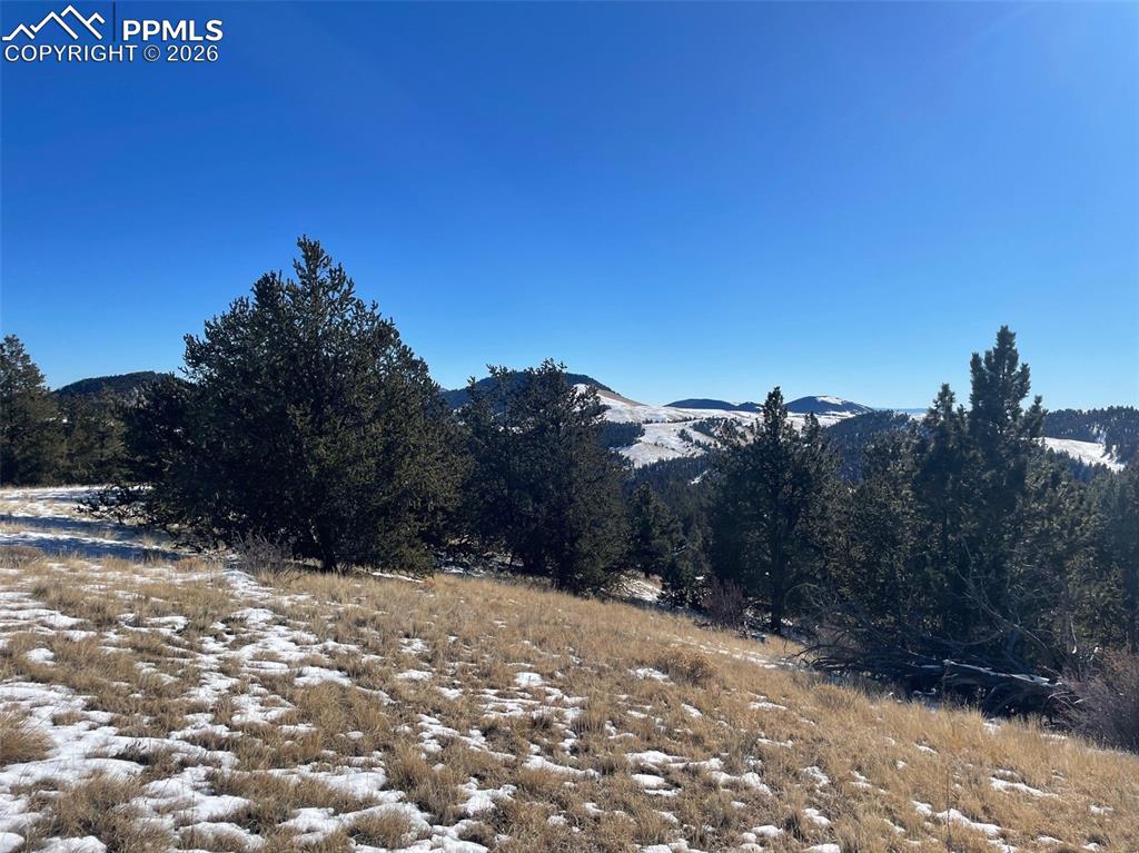 13 Buckhorn Trail