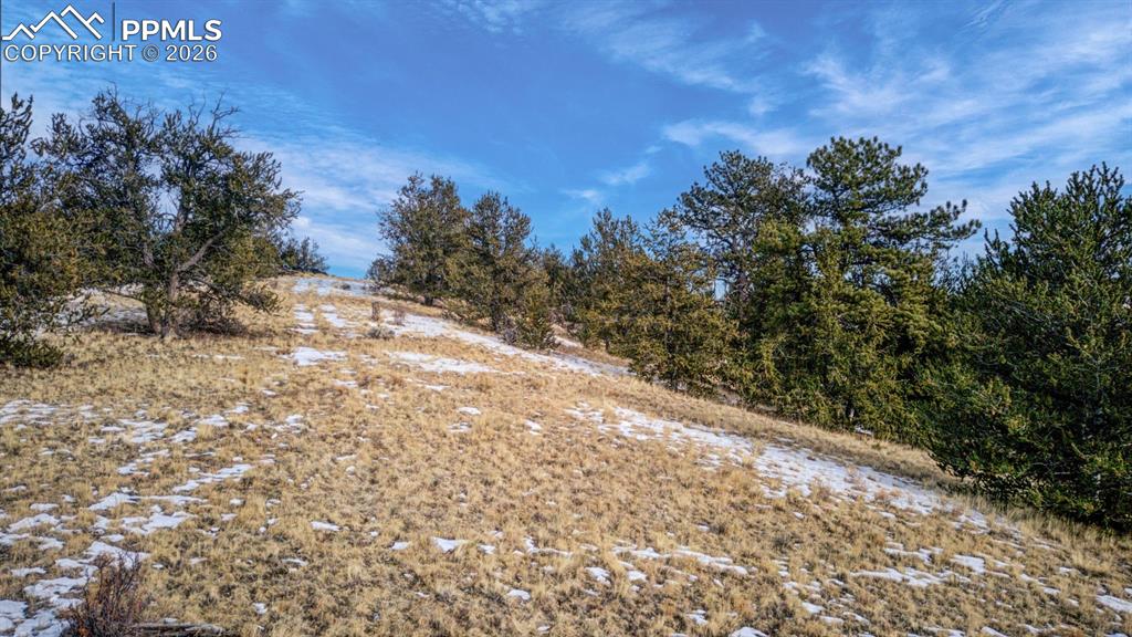 13 Buckhorn Trail