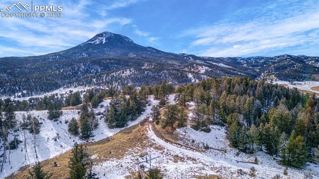 13 Buckhorn Trail