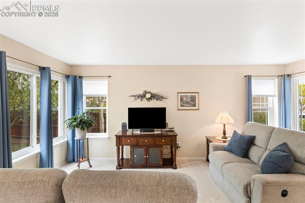 5267 Belle Star Drive