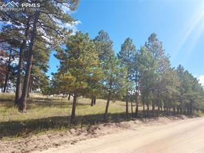 13395 Frank Road