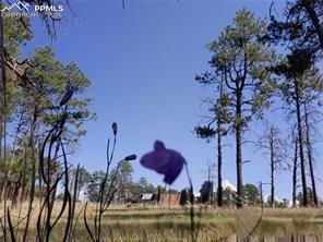 13395 Frank Road