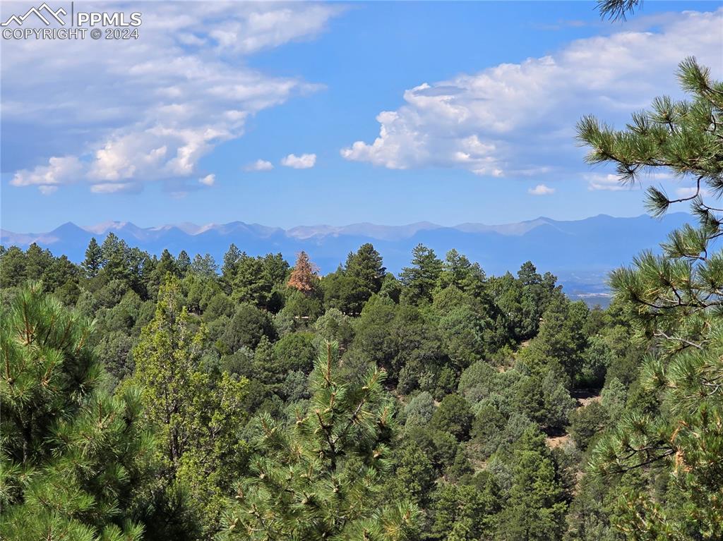 33036 Meadow Ridge Lane