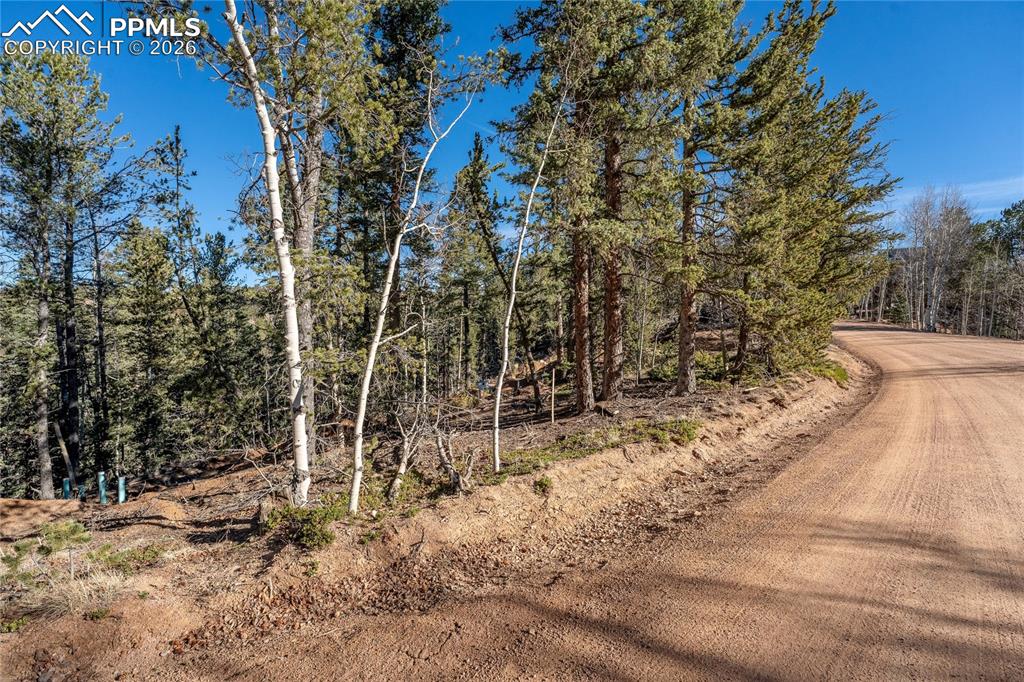 565 Fairview Drive
