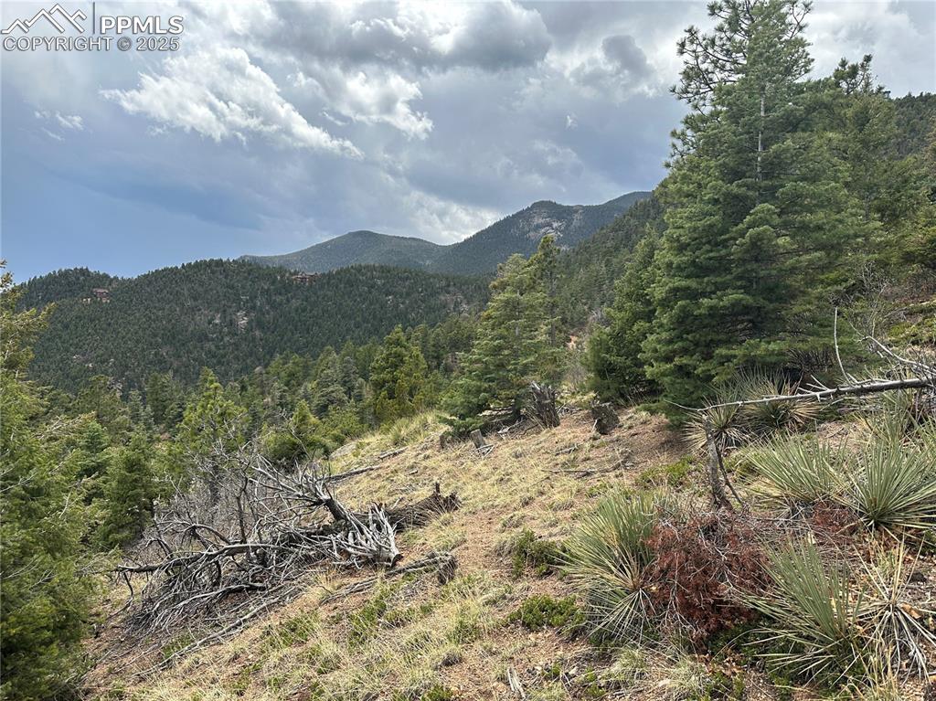 275 Upper Vista Road