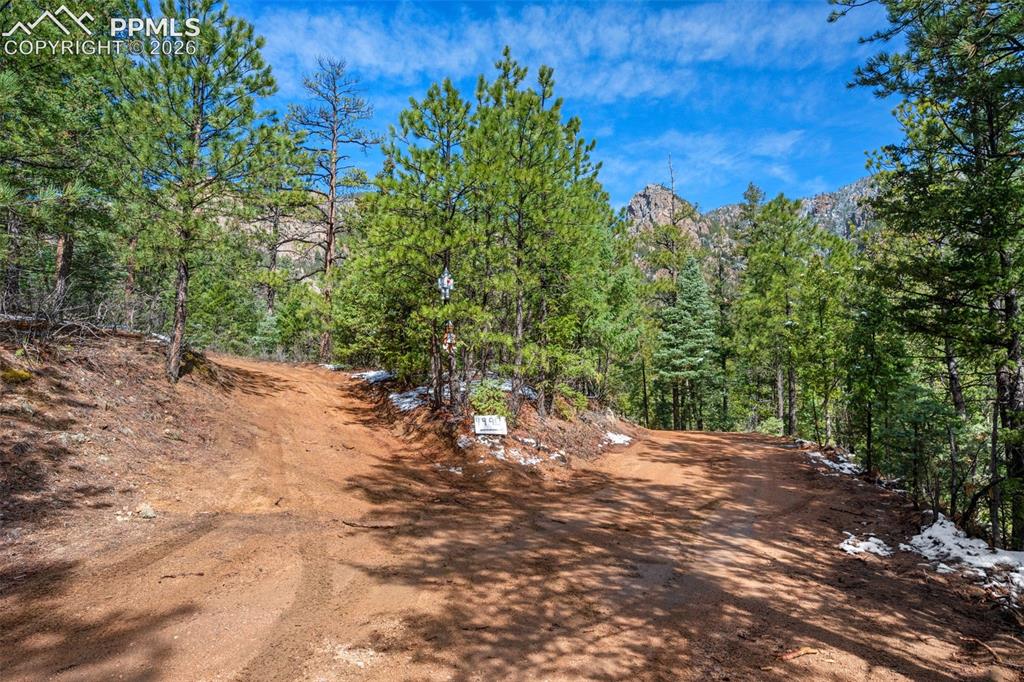 Little Turkey Creek Road