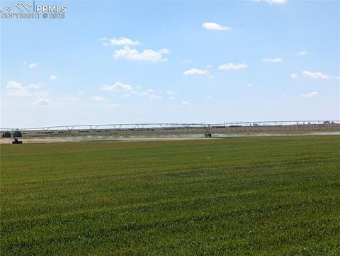 23500 County Road 5 Rush CO 80833