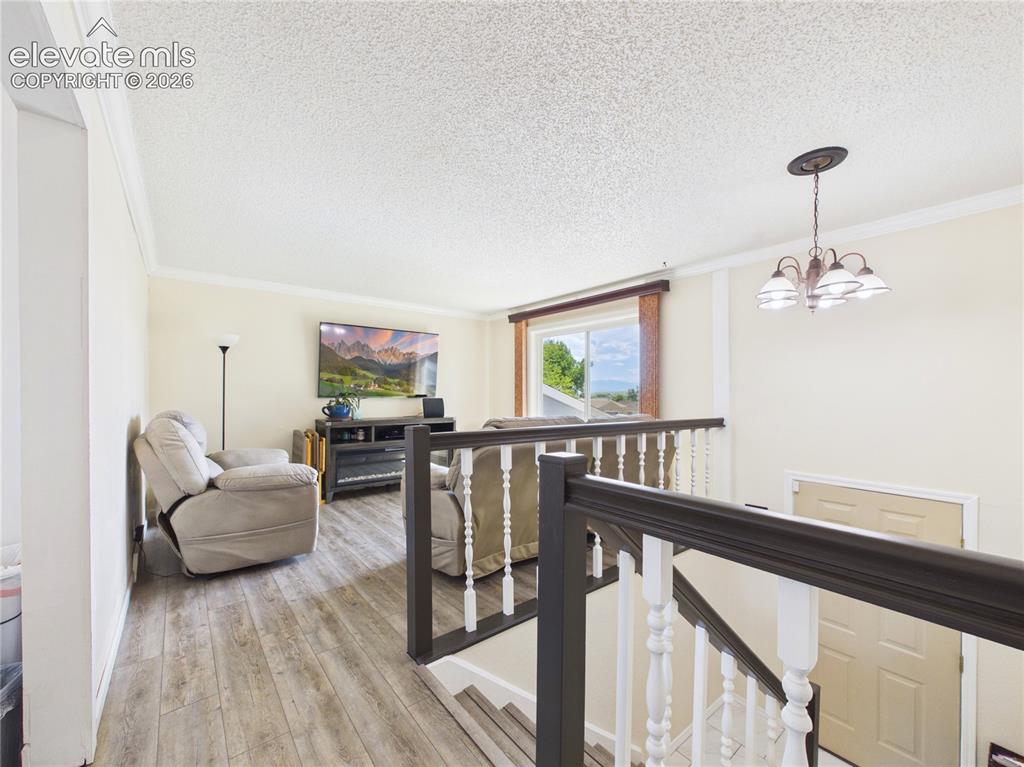 4100 Woodside Lane