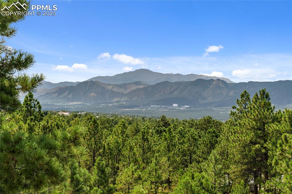 17715 Radbourne Court