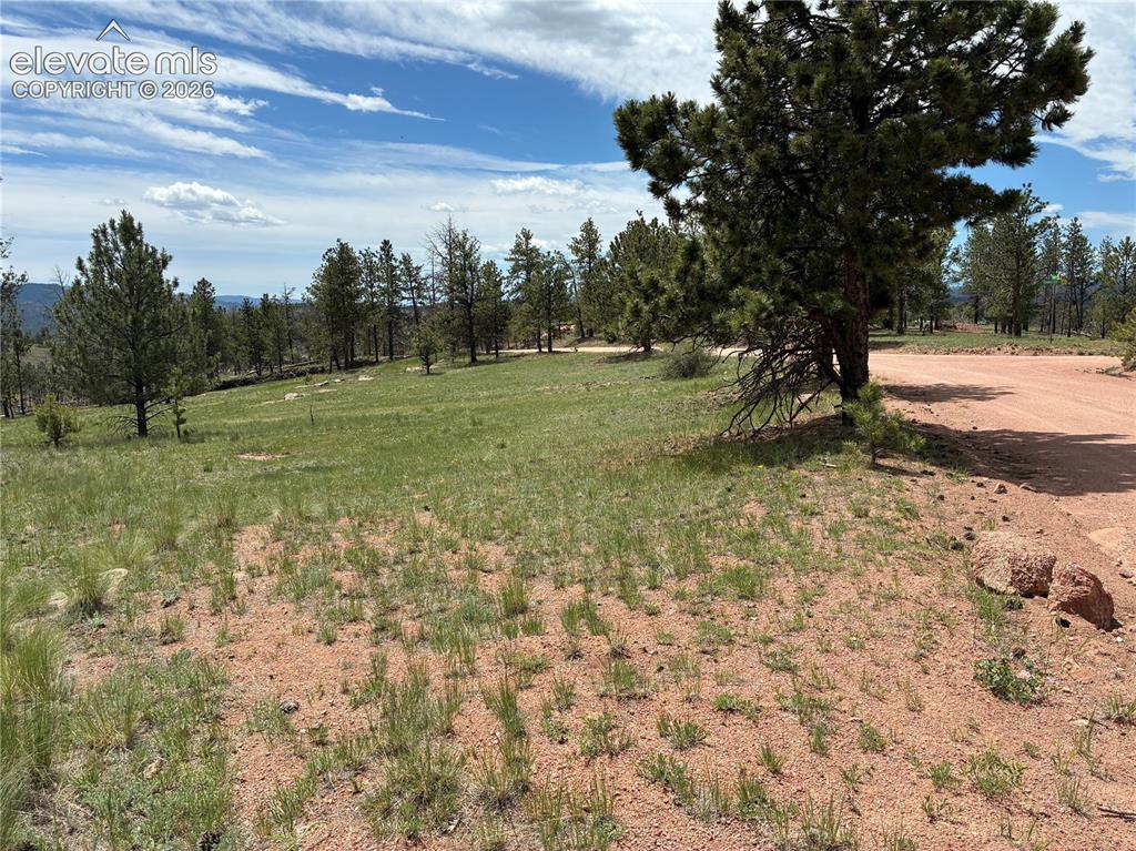 266 Chapparal Trail
