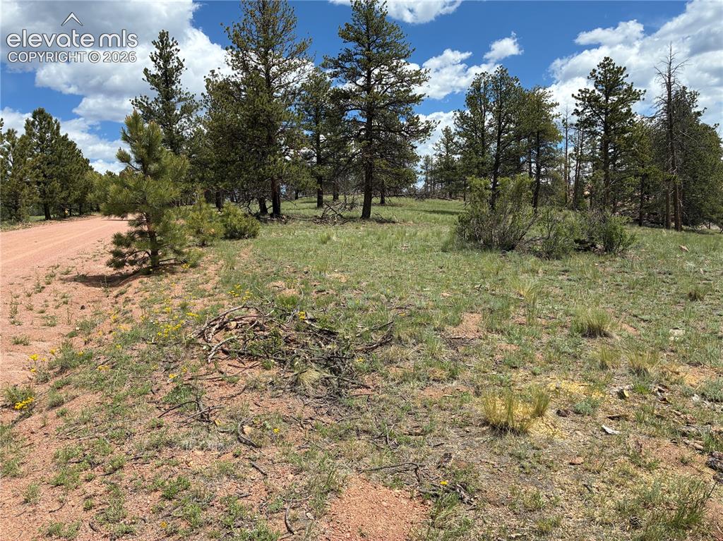 266 Chapparal Trail